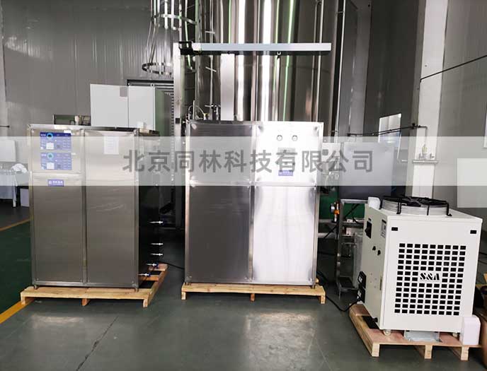 出口菲律賓200g臭氧發(fā)生器測試現場